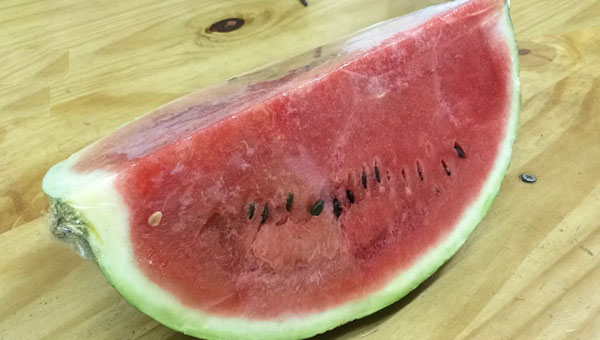 Sandia
